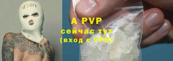 apvp Алексин