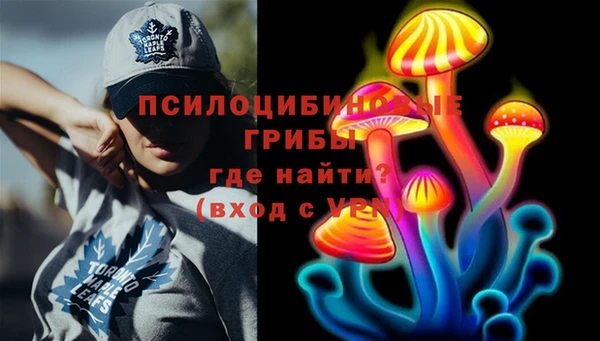 гидра Алексеевка