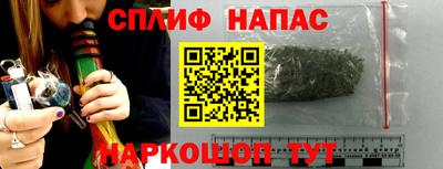 ГАЛЛЮЦИНОГЕННЫЕ ГРИБЫ Кингисепп