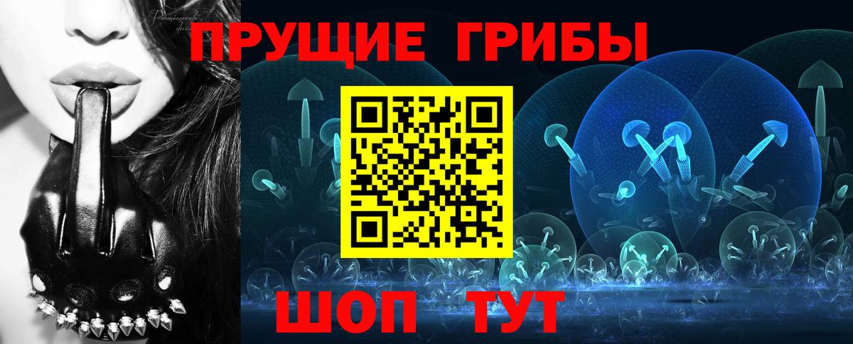 Псилоцибиновые грибы Psilocybe  Вход с VPN  Новоуральск 